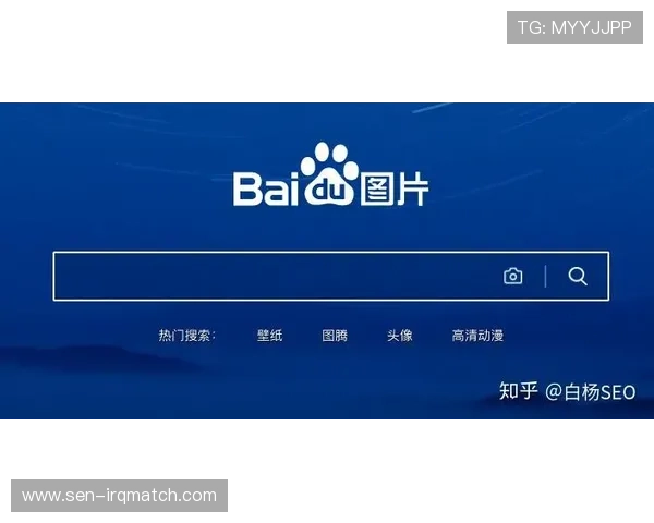 天空体育网站如何优化搜索功能，快速找到你感兴趣的体育赛事内容